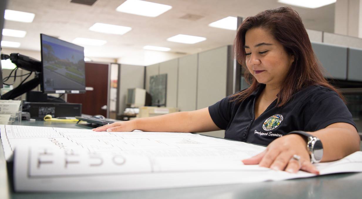 woman looking at map at desk